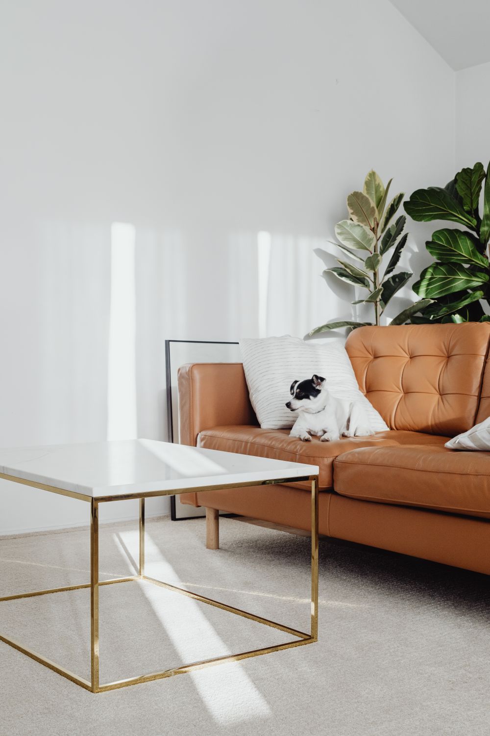 A bright, tidy living room