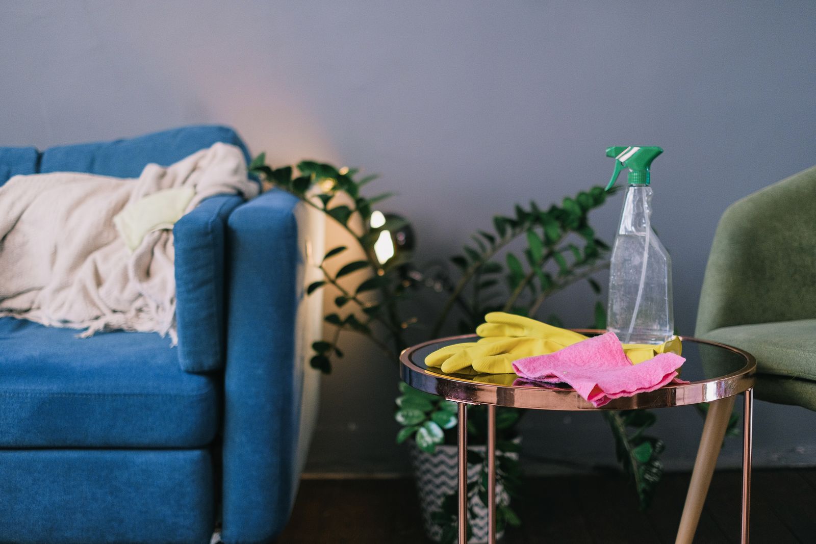 Cleaning gloves, cloths and supplies
